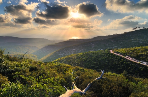 ואדיות חיפה