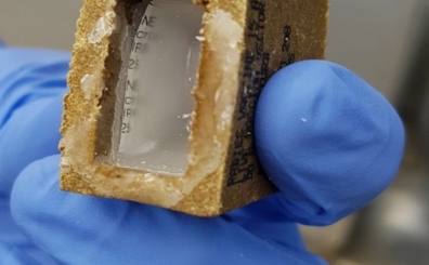 מחסנים את חיות הבר בעיר : אלף פיתיונות לחיות בר, בדגש על תנים ושועלים, המכילים חיסון נגד מחלת הכלבת יפוזרו ברחבי העיר